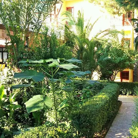 Hotel Ruya