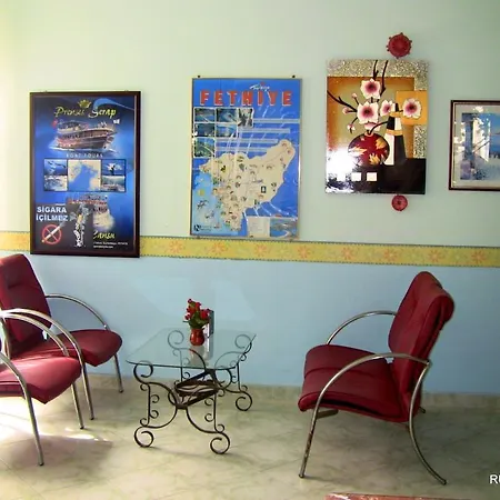 Ruya 올루데니스