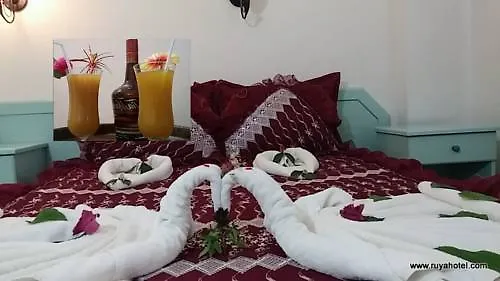 Ruya אולודניץ